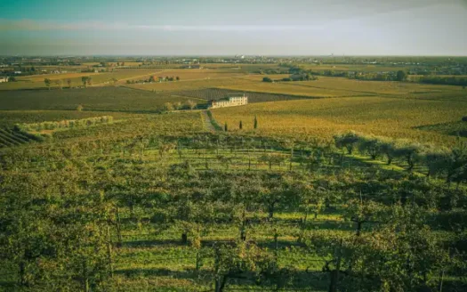 أرض على طريق الفيوم الصحراوى