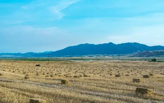 قطعة 17 فدان بالتجمع السادس – 4 نواصى