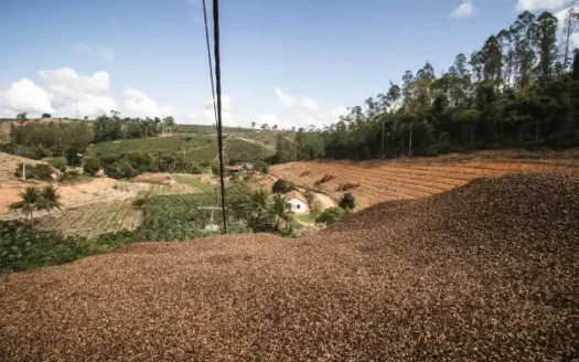 أرض بالحى السابع الشيخ زايد